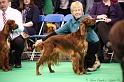 Crufts2011 272